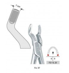 Ekstraktionstang fig. 1 til for- og hjørnetænder, OK