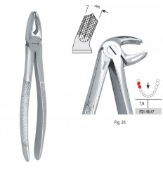 Ekstraktionstang fig. 23 til molarer, UK, højre