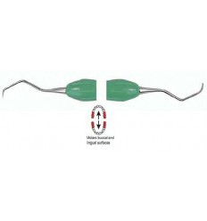 EasyCOLOR Gracey 7/8 til præmolarer og molarer